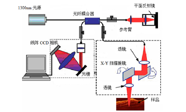 Which optical components are used in the optical coherence tomography system? Which optical components are used in the optical coherence tomography system?