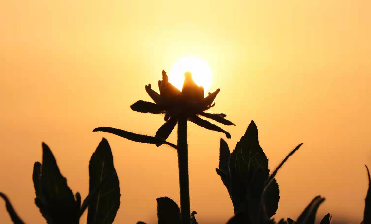 Basic optical design of Fourier infrared spectrometer Basic optical design of Fourier infrared spectrometer